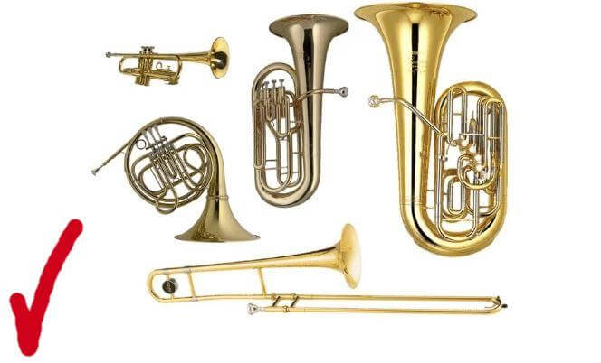 (10 lessons) BEST DEAL! Regardless of what brass instrument, Kurt has it handled! - Trumpetsizzle